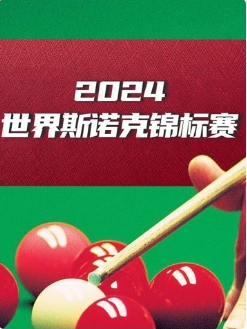 斯诺克英锦赛 丁俊晖6-5米尔金斯20241124